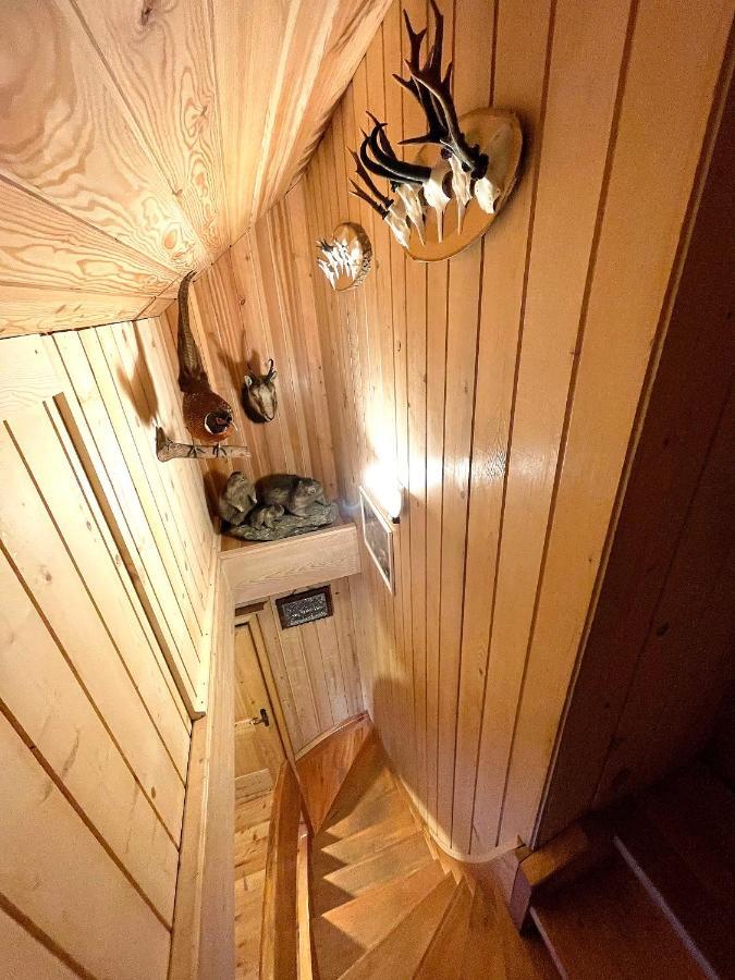 Siegel Almhuette Villa Zederhaus Eksteriør billede